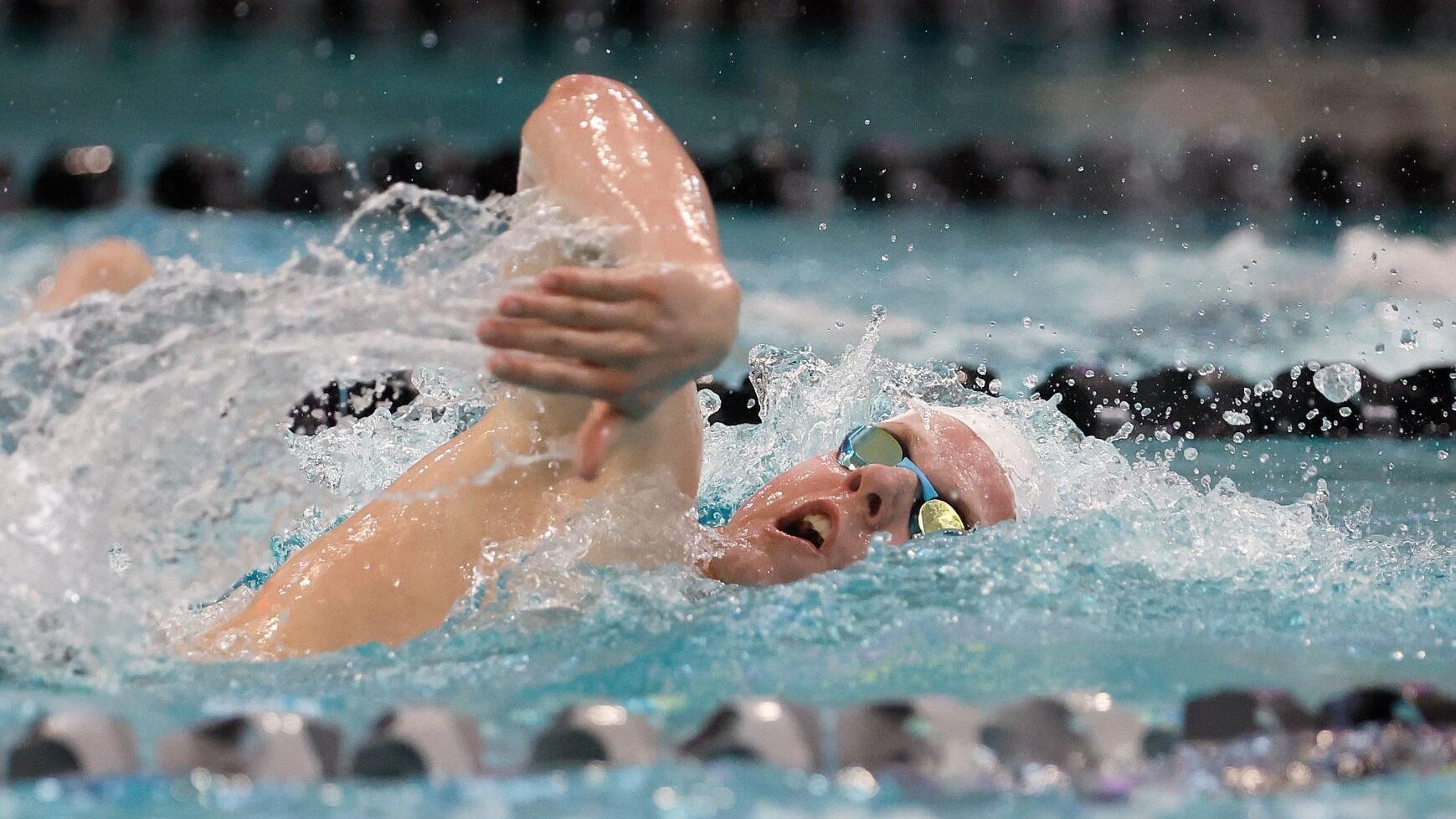Meet the 2024 All-Metro boys swimming and diving team
